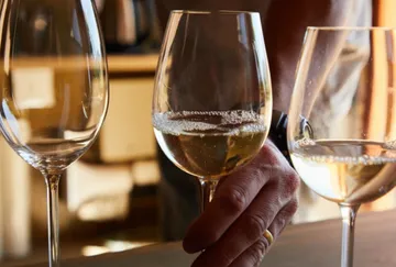 One hand holds a glass of sparkling wine.