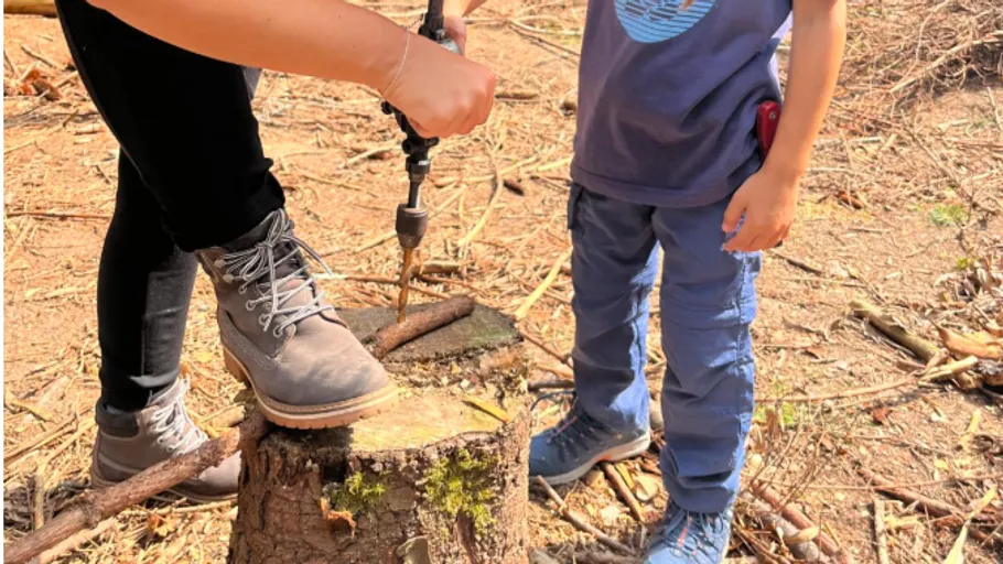 Person using drill on tree stump outdoors.