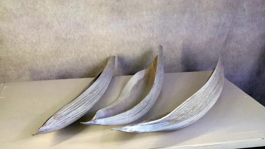 Curved wooden sculptures on display table.