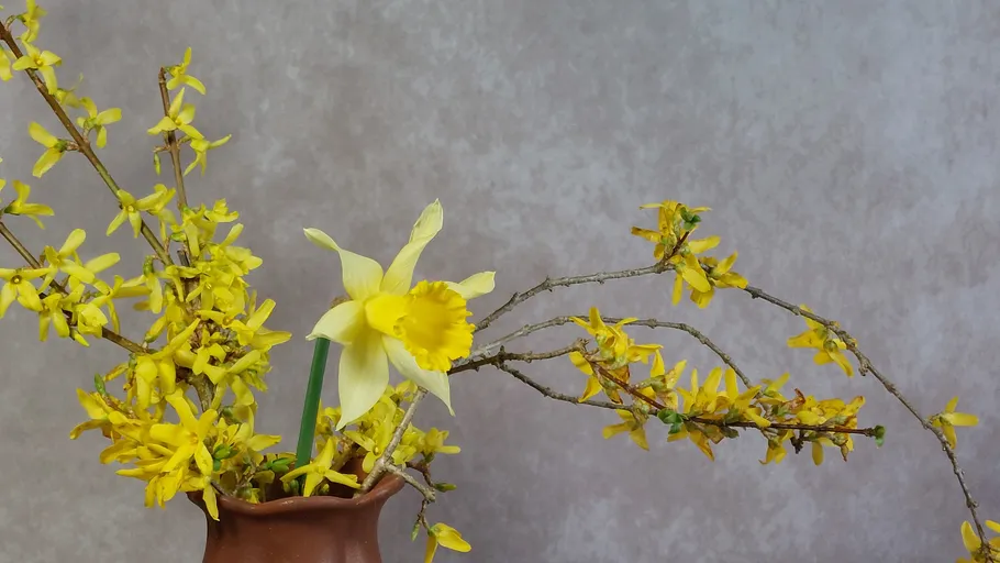 Gelbe Blumen in einer braunen Vase, grauer Hintergrund.