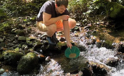 Mann schürft Gold in Waldbach.