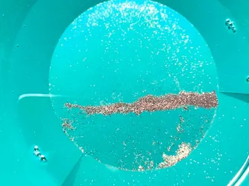 Golddust im grünen Behälter unter Sonnenlicht.