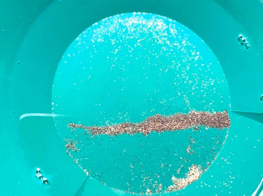 Gold dust in a blue panning tray.