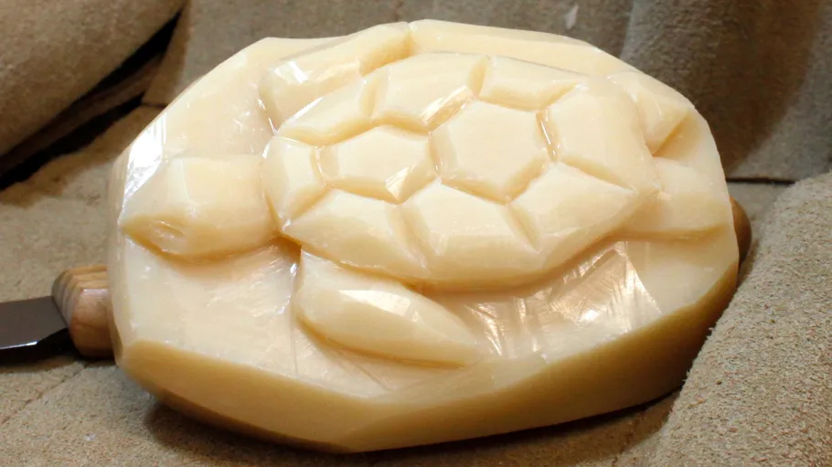Soap carved into a turtle shape on fabric.