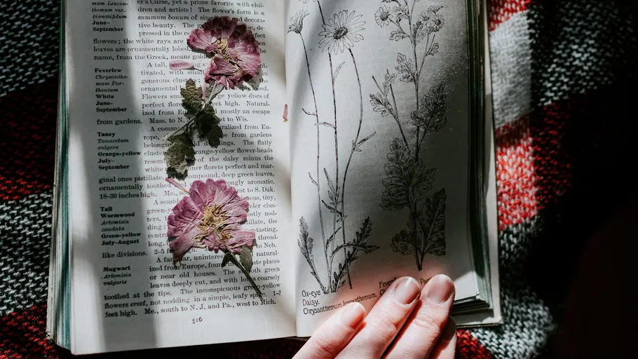 Dried flowers on open book, hand nearby.