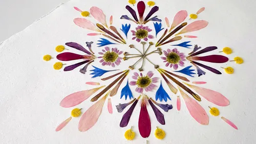 Bunte Blumenblätter in geometrischem Muster arrangiert.