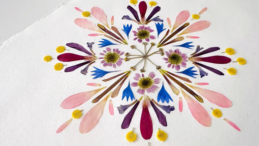 Bunte Blumenblätter in geometrischem Muster arrangiert.