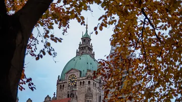 Clock tower framed by autumn leaves.