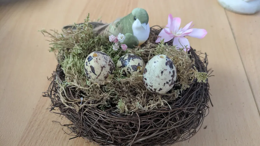 Bird's nest with eggs on table.