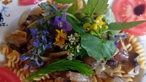Pasta dish adorned with edible flowers.