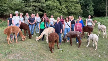Gruppe von Frauen mit Alpakas im Wald.