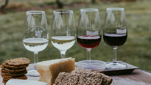 Käse- und Weinseminar "Italien" in Hamburg