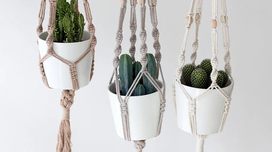 Three macrame hangers with potted cacti indoors.