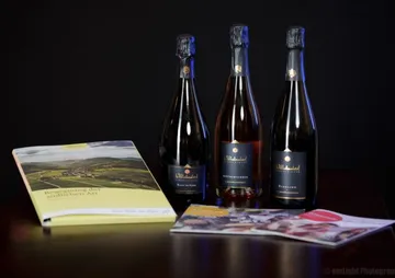 Drei Flaschen Sekt stehen neben einer bunten Broschüre.