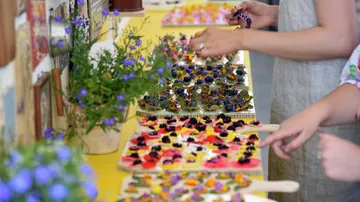 Hände arrangieren bunte Blumen auf Fliesen drinnen.