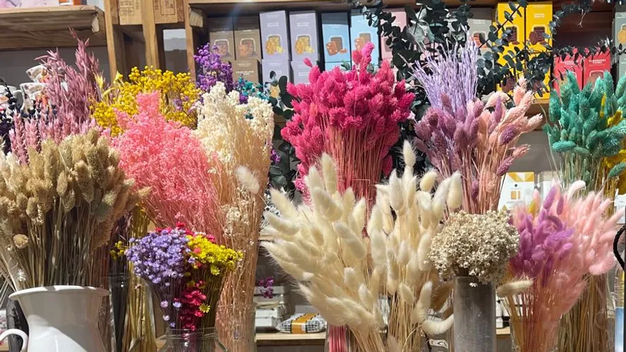 Bunte Trockenblumen in einem Geschäft angeordnet.