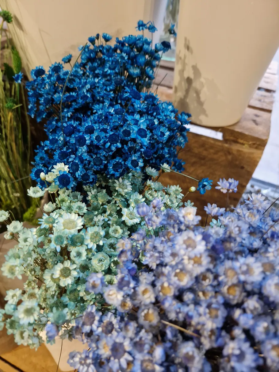 Blue and white flowers in a vase.