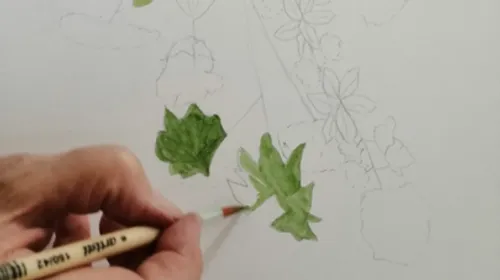 Hand coloring leaves on a floral sketch.