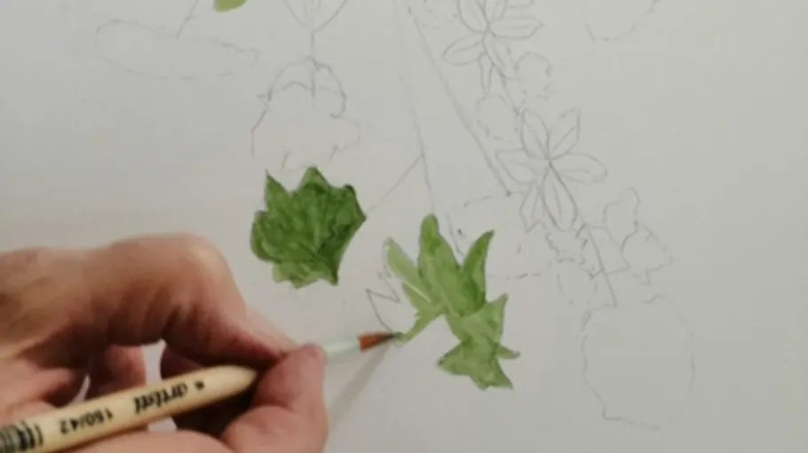 Hand koloriert Blätter auf einem Blumenskizze.