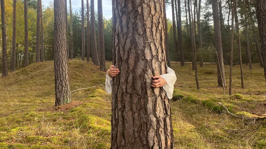 Person umarmt Baum im Wald.