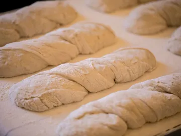 Loaves of yeast dough lie on a floured work surface.