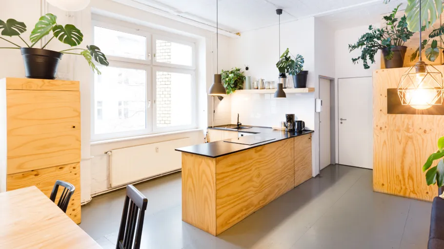 Moderne Küche mit Holzschränken und Pflanzen.