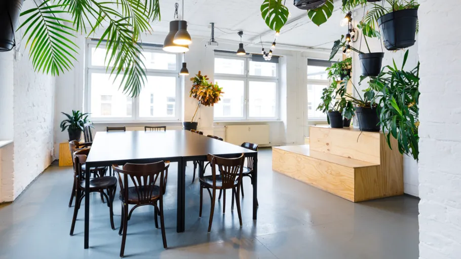 Stylish meeting room with plants and wooden furniture.