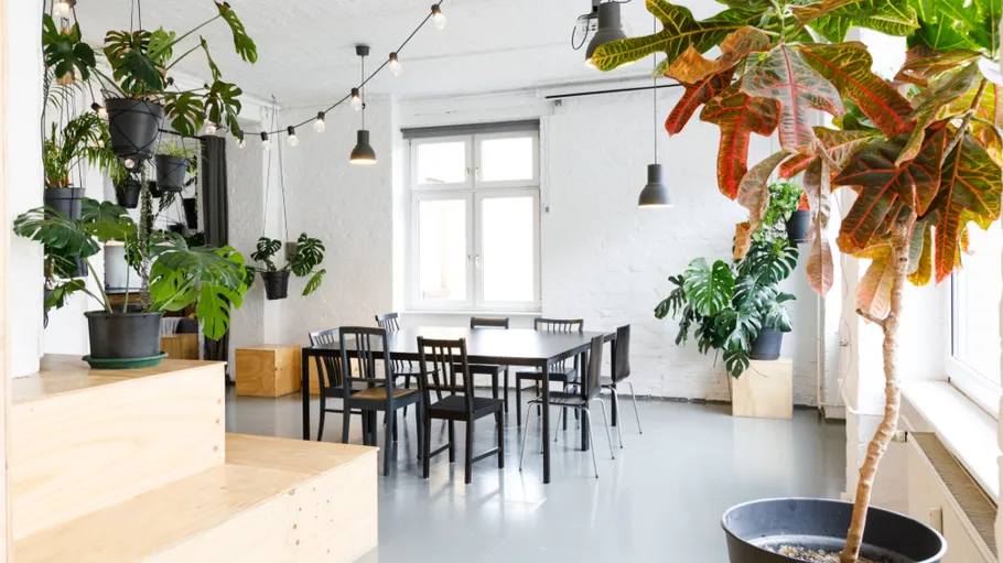 Indoor dining area with plants and string lights.