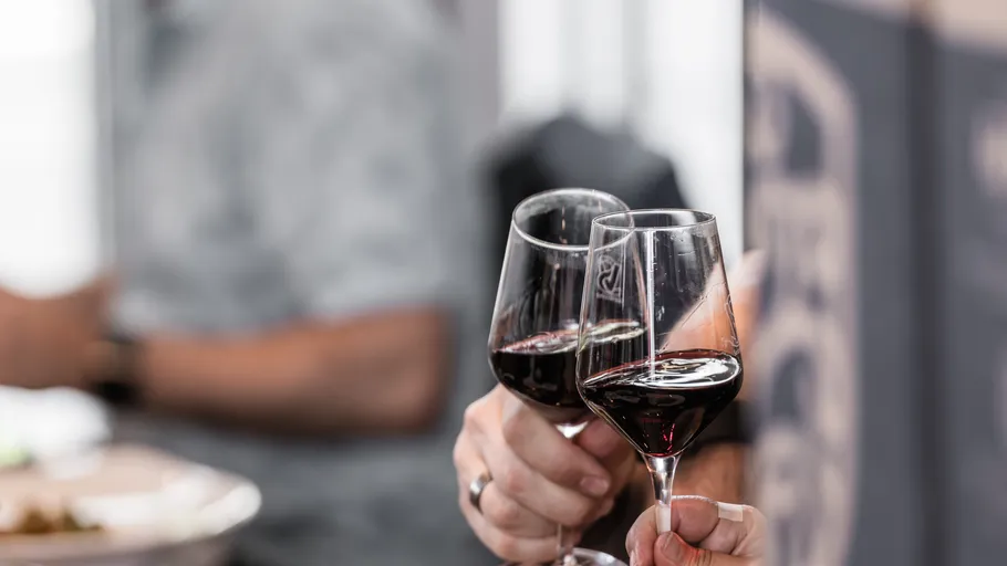 Two people clinking wine glasses indoors.