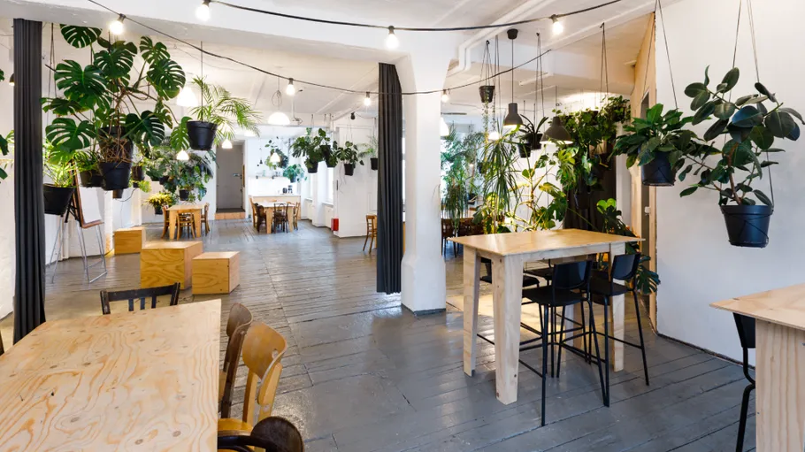 Indoor cafe with hanging plants and wooden tables.