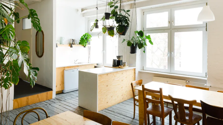 Bright kitchen with plants and wooden furniture.