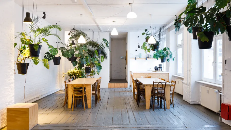 Wooden tables and hanging plants in a bright room.