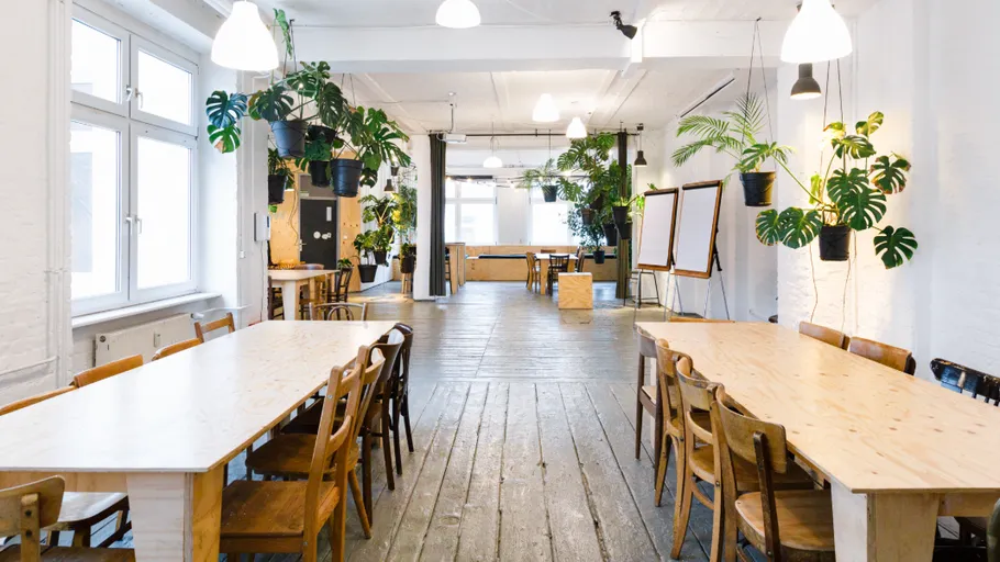 Spacious office with wooden tables and plants.