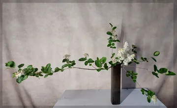 Branch with white flowers in vase, minimalist setting.