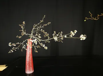 Blühender Zweig in roter Vase, schwarzer Hintergrund.