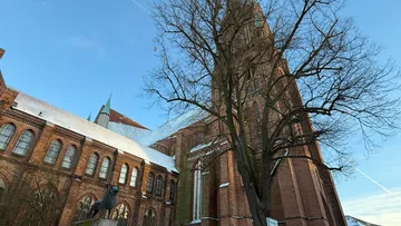 Hohe Backsteinkirche mit großem Baum im Vordergrund.