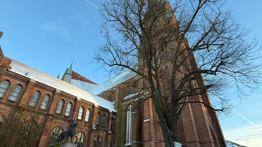 Hohe Backsteinkirche mit großem Baum im Vordergrund.