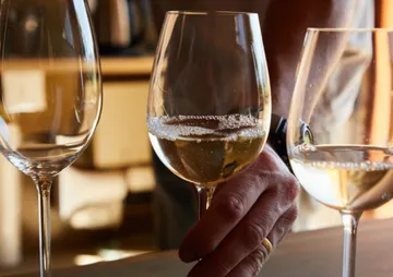 Ein Glas Sekt wird von einer Hand gehalten.
