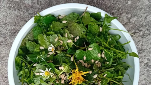Mixed greens and seeds in a white bowl.