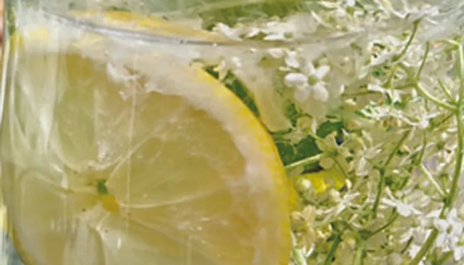 Lemon slice and flowers in glass jar.