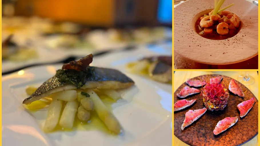 Gourmetgerichte mit Fisch und Garnelen auf Tellern.