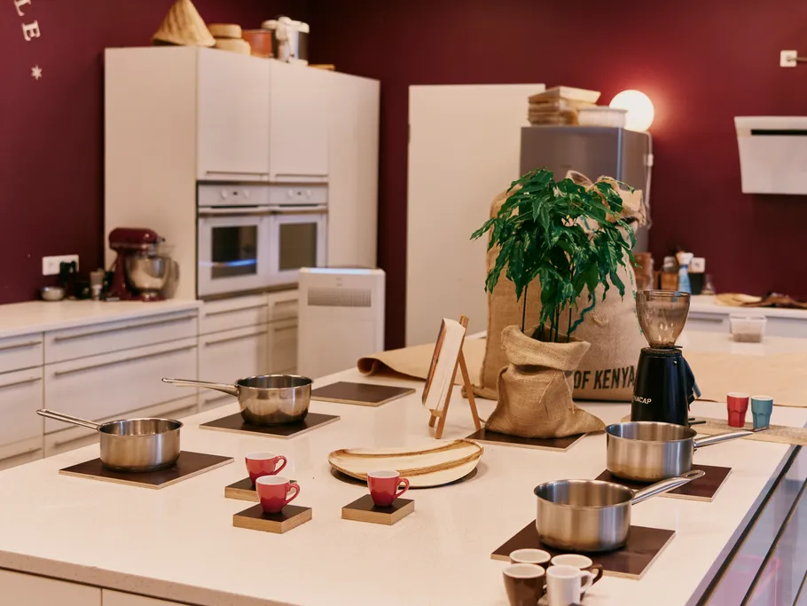 Modern kitchen with pots, plants and kitchen utensils.