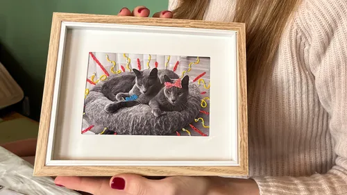 Zwei Katzen liegen im Korb, bestickte Dekorationen.