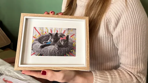 Zwei Katzen liegen im Korb, bestickte Dekorationen.