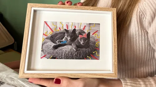 Zwei Katzen liegen im Korb, bestickte Dekorationen.