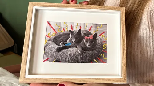 Zwei Katzen liegen im Korb, bestickte Dekorationen.