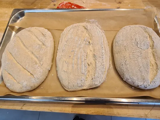 Drei ungebackene Brotlaibe auf Backblech.