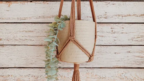 Macrame plant hanger on rustic wooden wall.