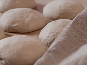 Dough pieces rest gently under a cloth on a wooden surface.