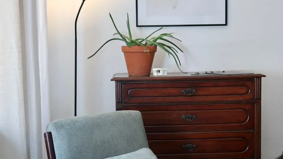 Wooden dresser with aloe plant and armchair nearby.